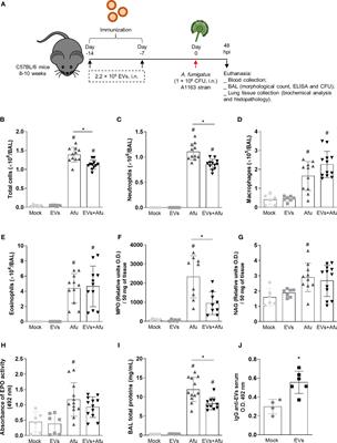 Pre-Exposure With Extracellular Vesicles From Aspergillus fumigatus Attenuates Inflammatory Response and Enhances Fungal Clearance in a Murine Model Pulmonary Aspergillosis